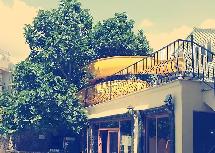 Asia Hotel מלון קמר